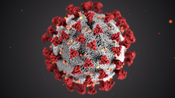 Coronavirus image by CDC on Unsplash