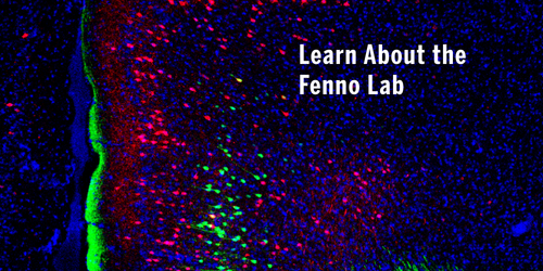 Fenno Lab
