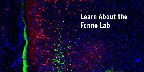 Fenno Lab