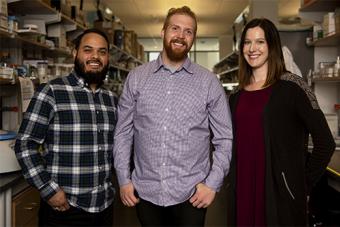 WCAAR Postdoc Group